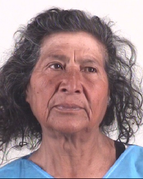 BERTA AVILA booking photo