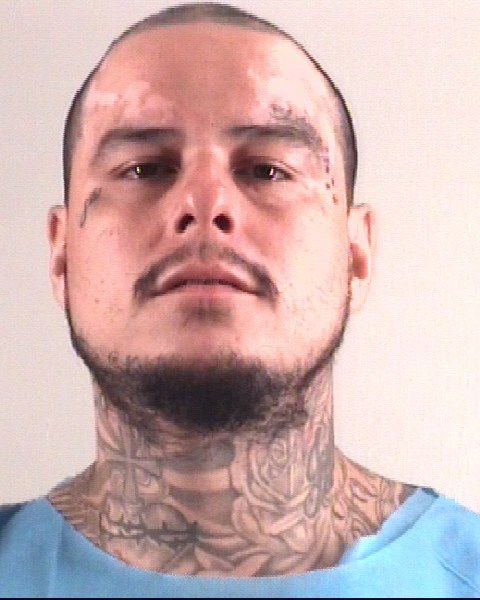 SERGIO AVILES booking photo