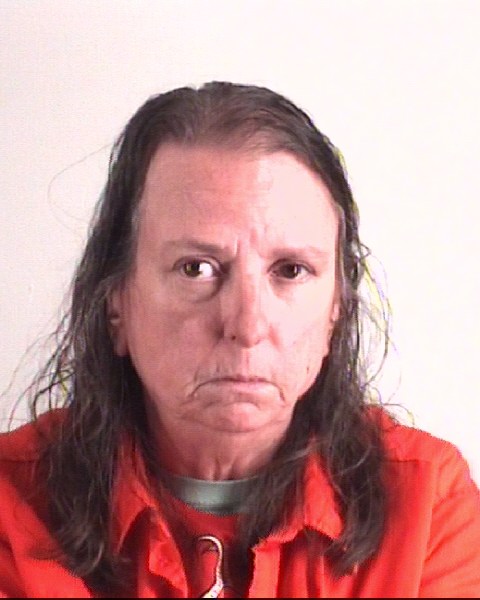 DONNA HILL booking photo