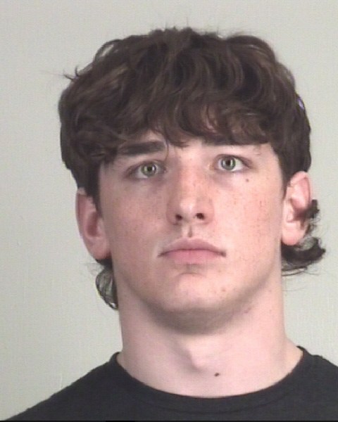 AIDEN MCKINNIE booking photo
