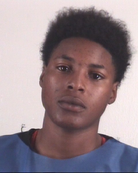 JAMAYA REESE booking photo