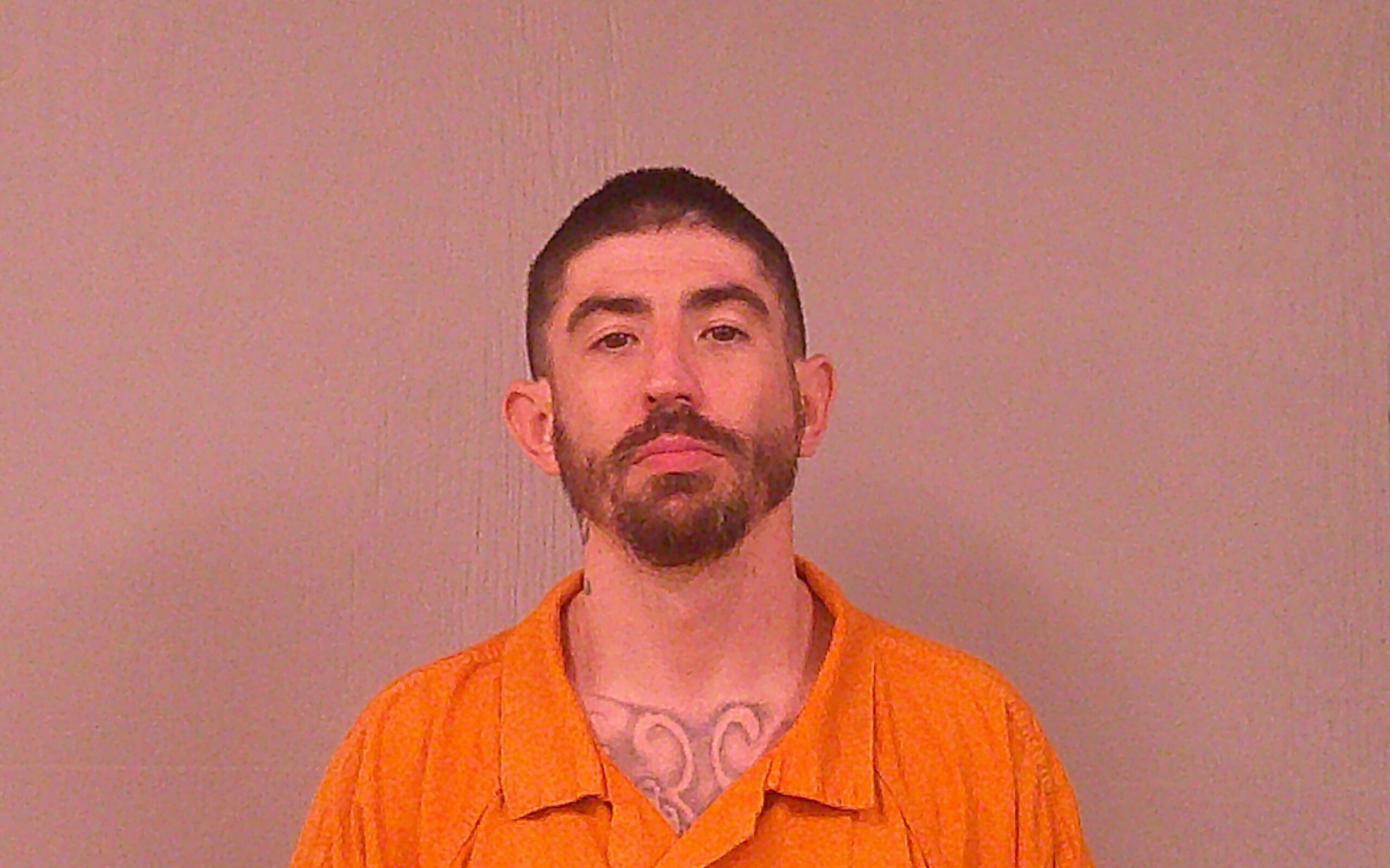 STOLICH, MICHAEL PAUL booking photo