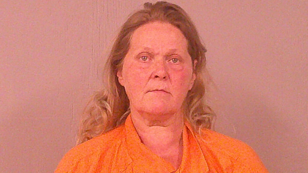 COLLINS, CADILLA ANN arrested in Burnet County, Texas mugshot