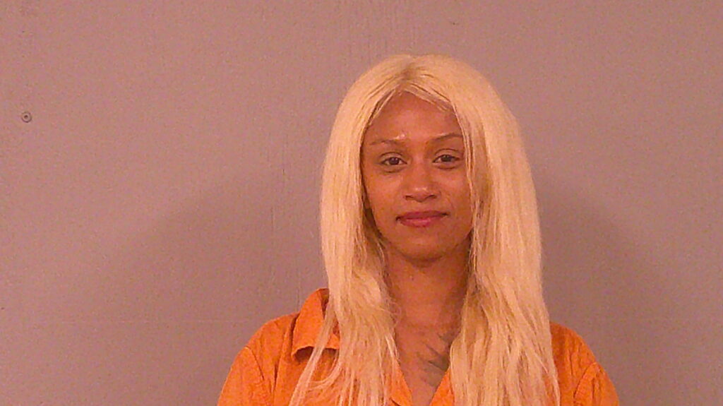 CHEEKS, PHYLICIA LAVAUGHN arrest record in Burnet County, Texas CHEEKS, PHYLICIA LAVAUGHN arrested in Burnet County, Texas mugshot