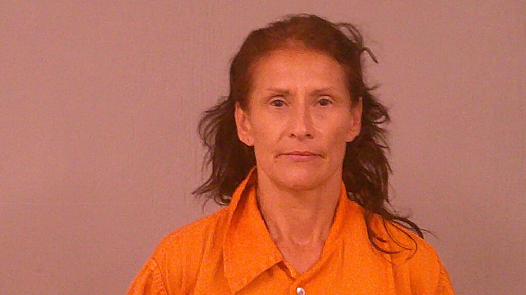HINOJOSA, LISA ARREDONDO arrested in Burnet County, Texas mugshot