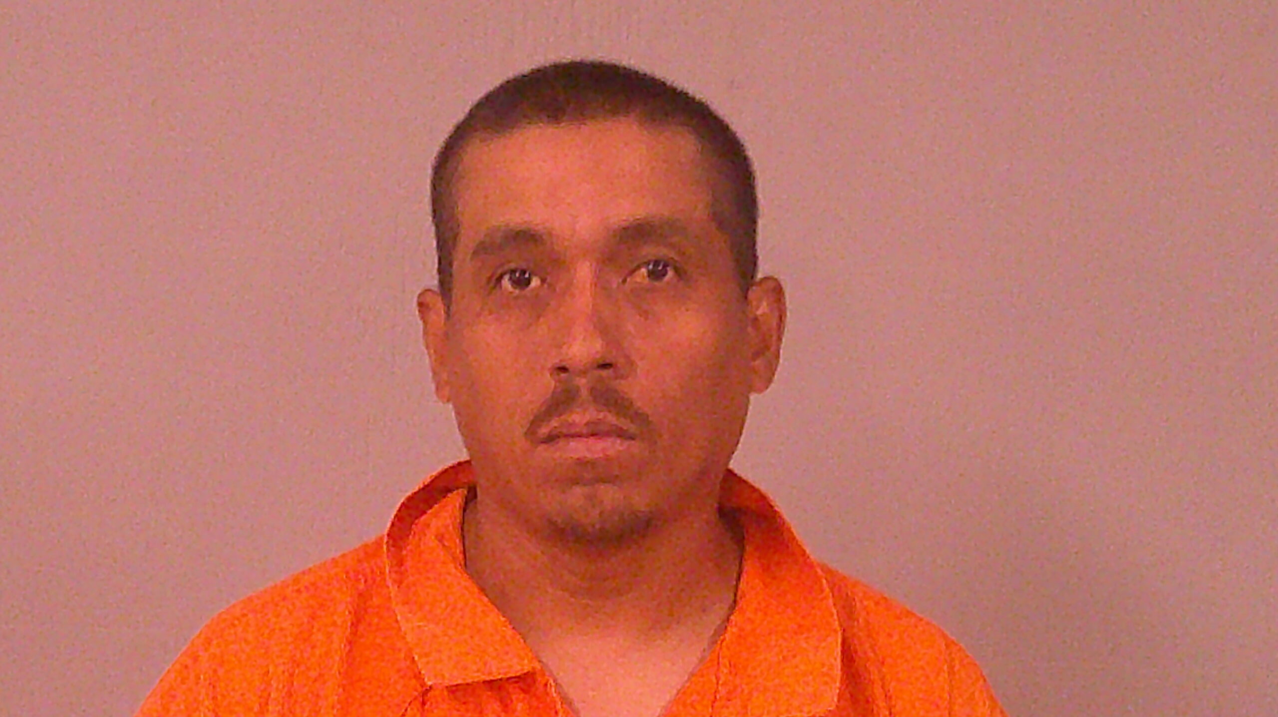ORTEGA-GODAY, ELVIN booking photo