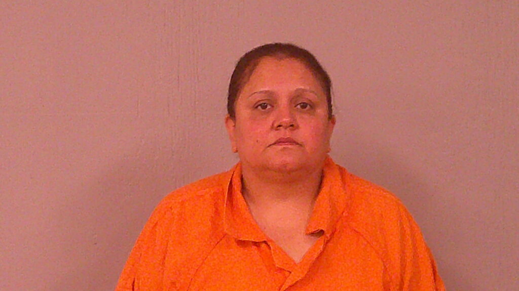ARROYO, ELIDA arrested in Burnet County, Texas mugshot