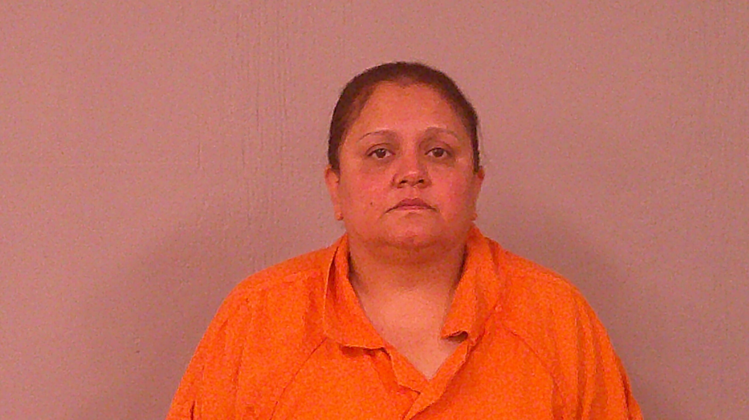 ARROYO, ELIDA booking photo