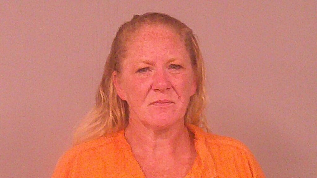 SHARP, ANITA CRISTINE arrested in Burnet County, Texas mugshot