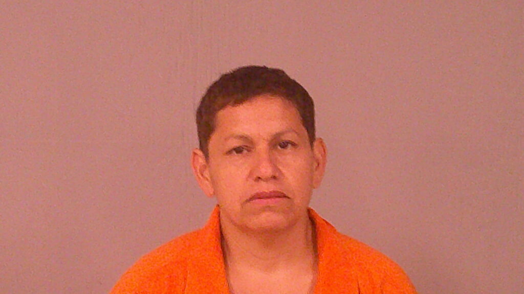 MARTINEZ-BRICENO, SUSANA arrested in Burnet County, Texas mugshot