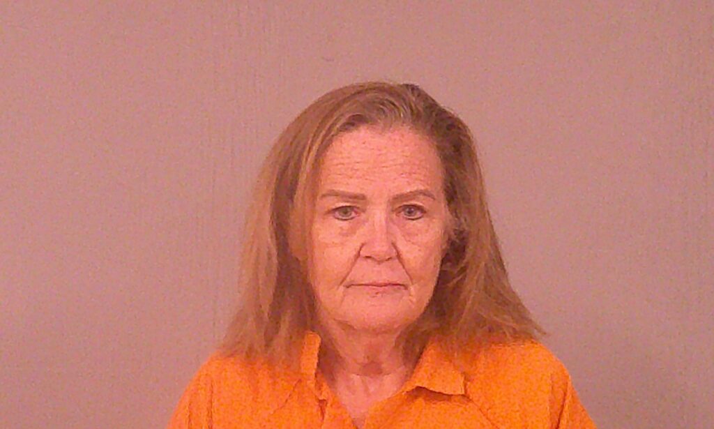 KRIENKE, LAURA MICHELLE arrested in Burnet County, Texas mugshot