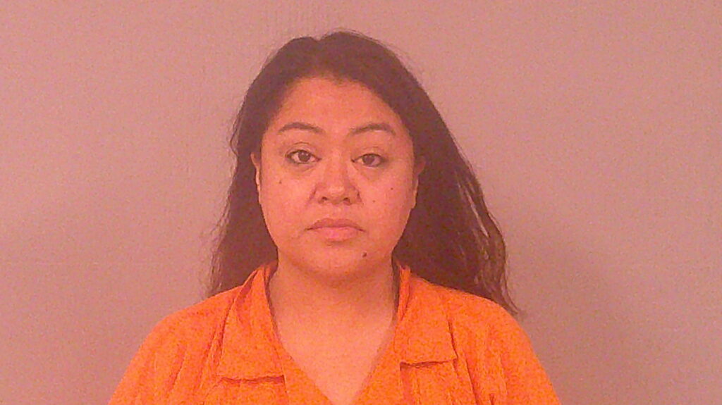 LIRA-HERNANDEZ, KARINA GUADALUPE arrested in Burnet County, Texas mugshot