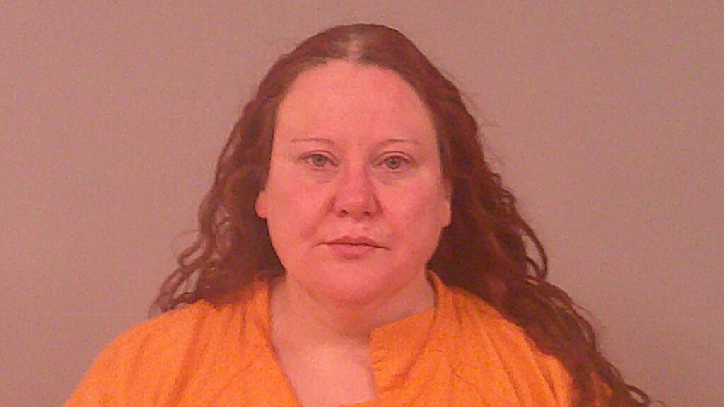 SCHNITZLER, RACHEL LYNN arrested in Burnet County, Texas mugshot