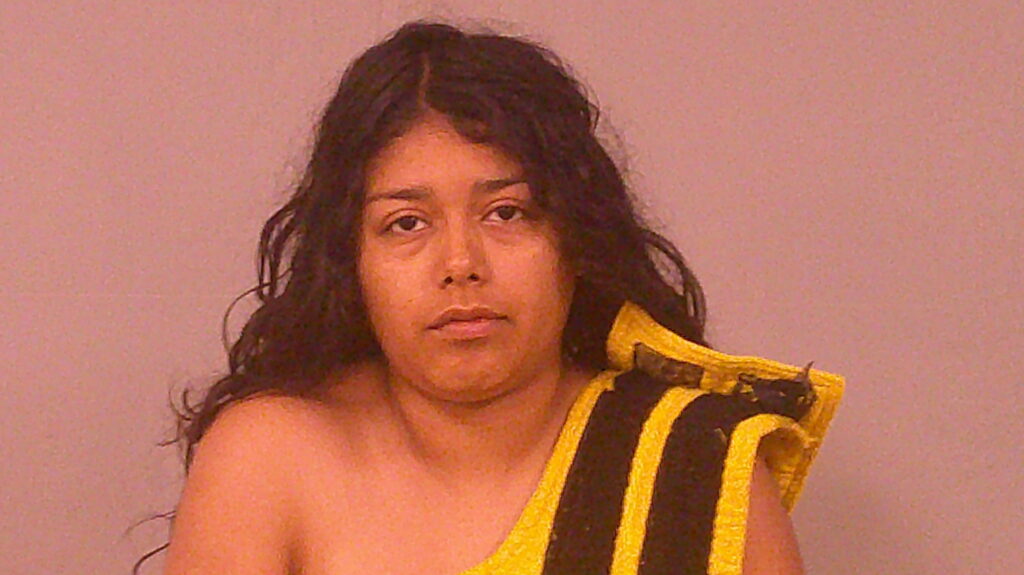 VEGA-GUTIERREZ, PALOMA YATZIRY booking photo