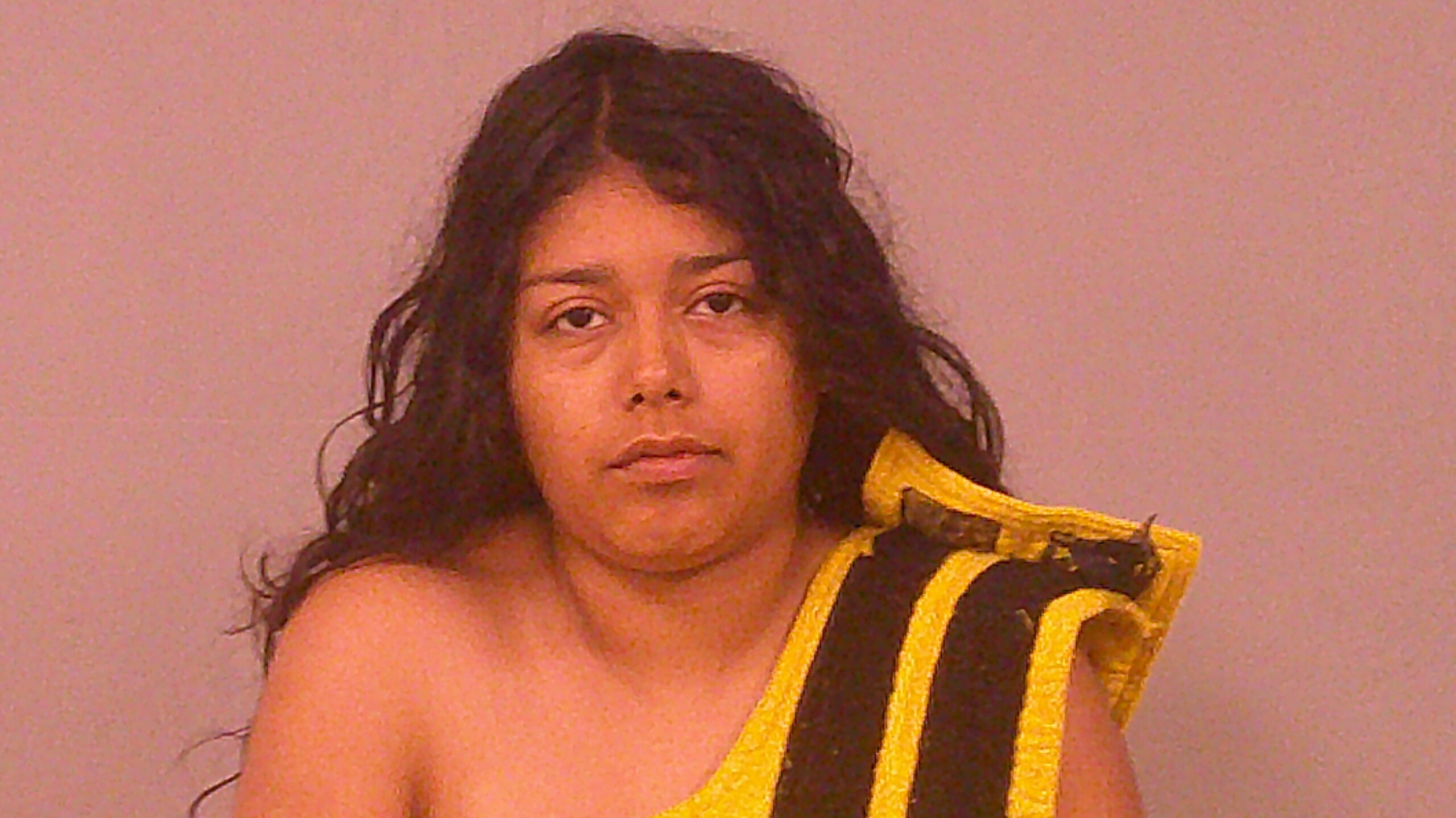 VEGA-GUTIERREZ, PALOMA YATZIRY arrested by Burnet County SO/PD