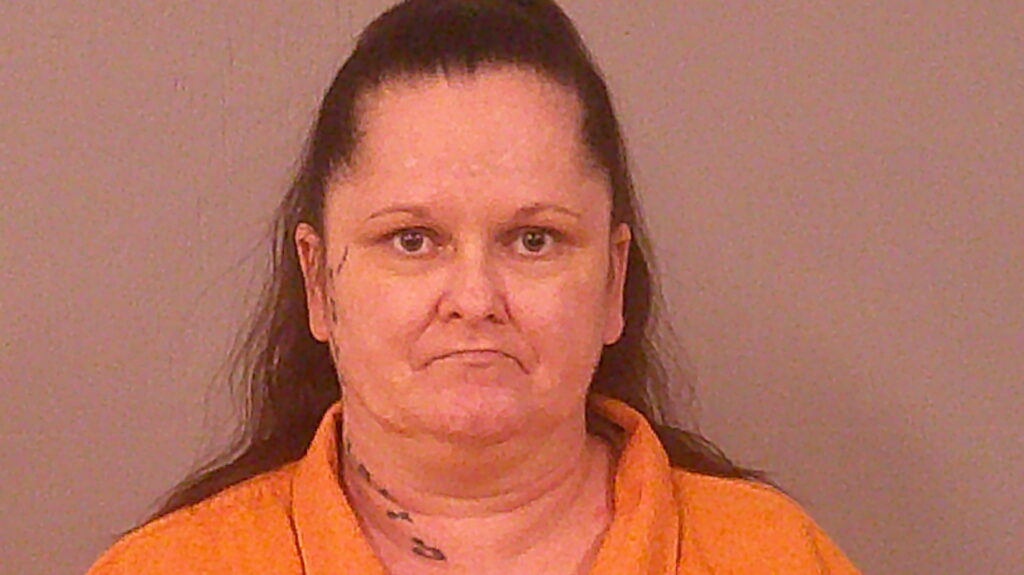 THOMPSON, SHELLEY SUSAN booking photo