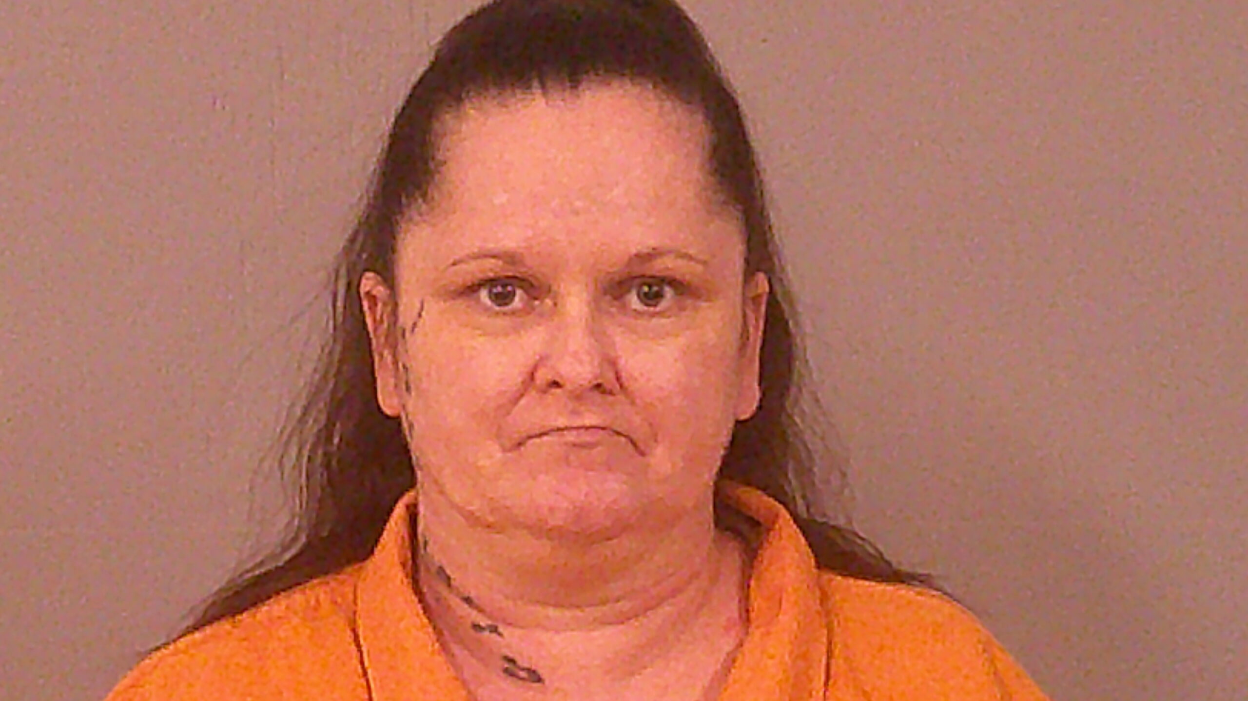 THOMPSON, SHELLEY SUSAN arrested by Burnet County SO/PD