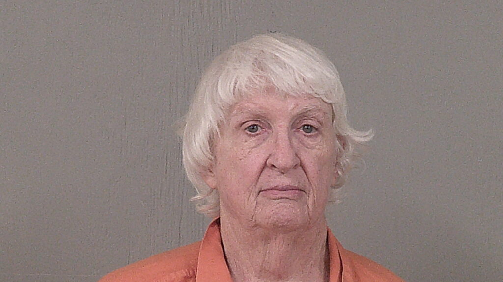 CHISM, NANCY BETH booking photo