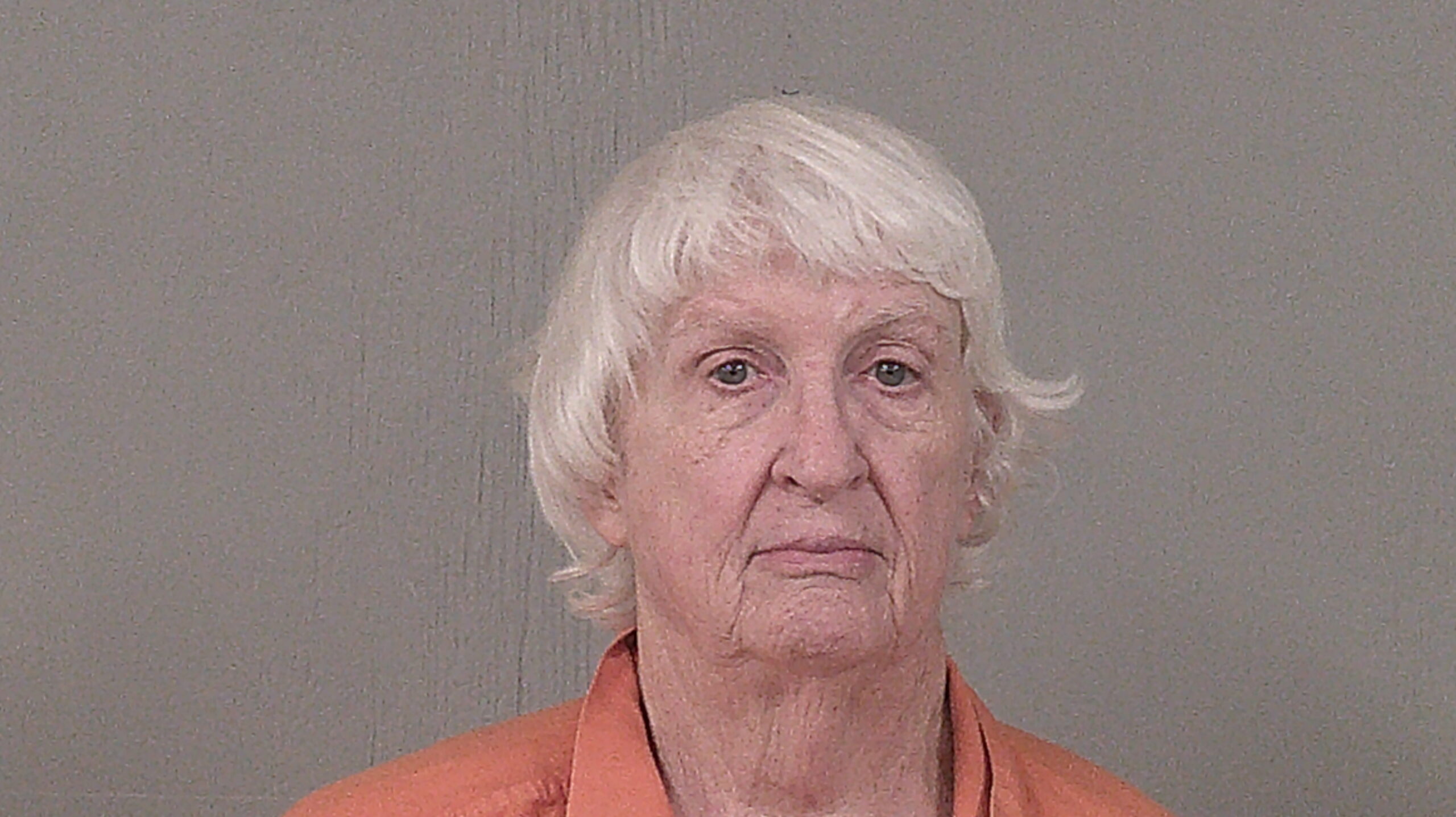 CHISM, NANCY BETH arrested by Llano County Sheriff’s Office