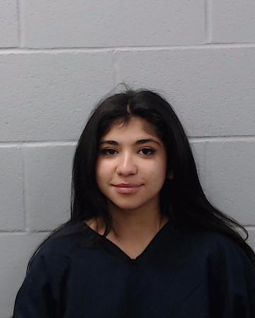 Rodriguez, Michelle Nicole booking photo