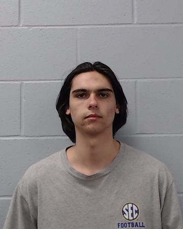 Springer, Cole Avery booking photo