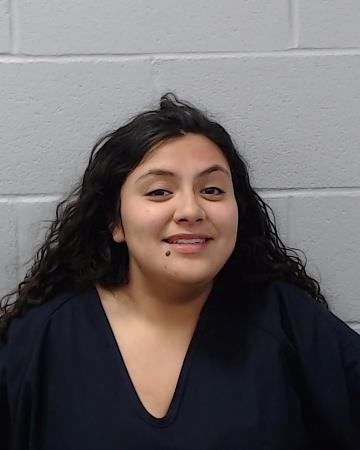 Ybarra, Desirae Irma booking photo