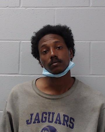 Shanklin, Gabriel Lynn booking photo