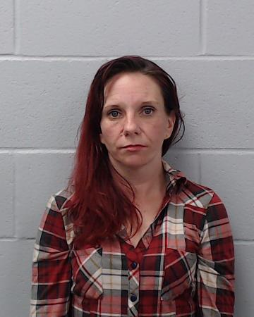 Hanselman, Jessica Lee booking photo