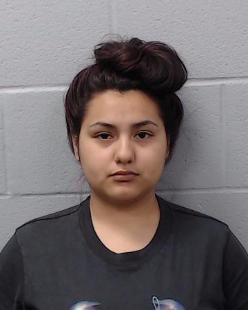 Fernandez, Natalie Alize booking photo