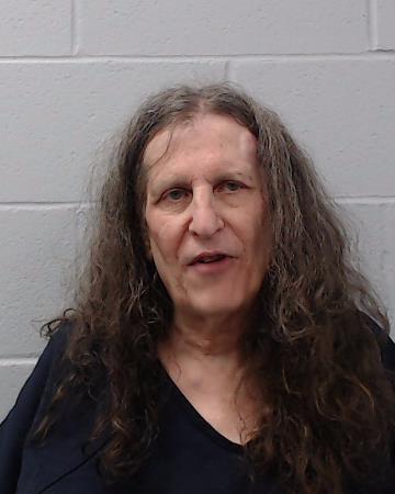 David, Remy Ann booking photo