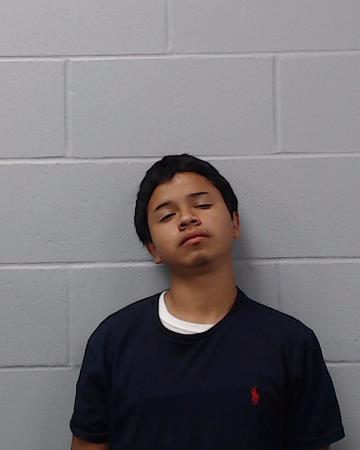 Alvardo, Marc booking photo