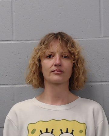 Harding, Jamie Lynn booking photo