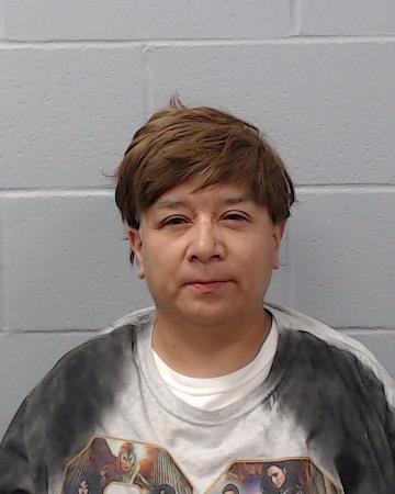 Diaz, Lisa Ramirez booking photo