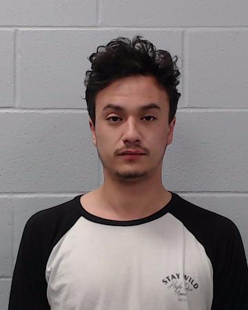 Denner, Seth Morgan booking photo