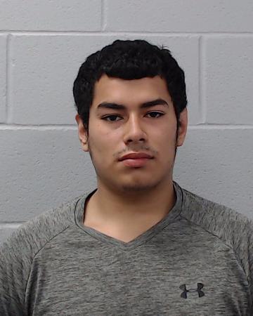 Bercian, Bladmir Antonio booking photo