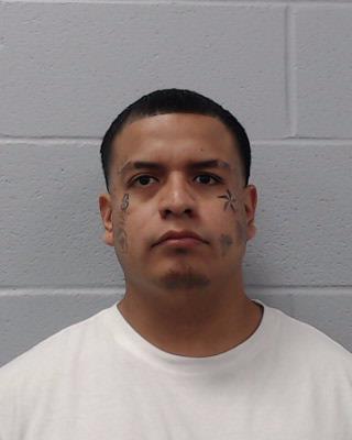 Vicuna, Christopher booking photo