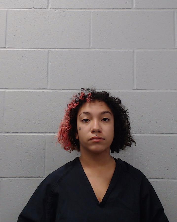 Salerno, Monica booking photo