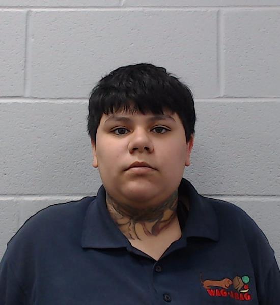 Ortiz, Destanie Lov booking photo