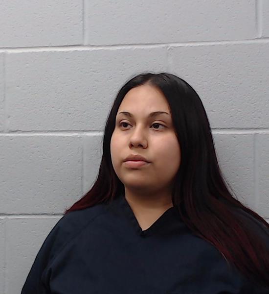 Solis, Yolanda Nicole booking photo