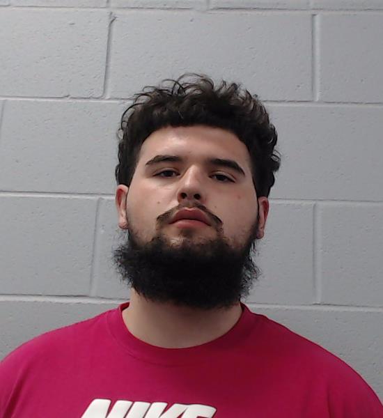 Stewart, Mason Reign booking photo