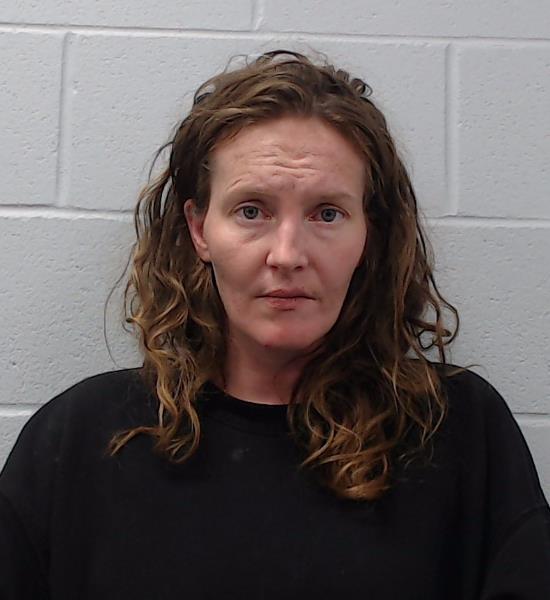 Pettit, Anne Elizabeth booking photo