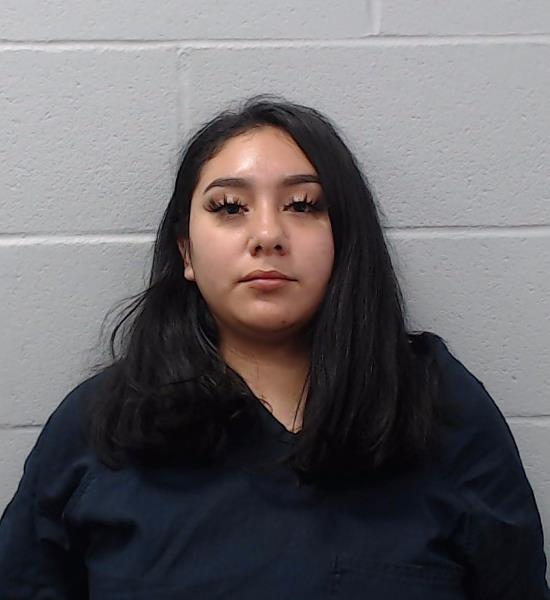 Reyes-Tinoco, Brittany Nicole booking photo