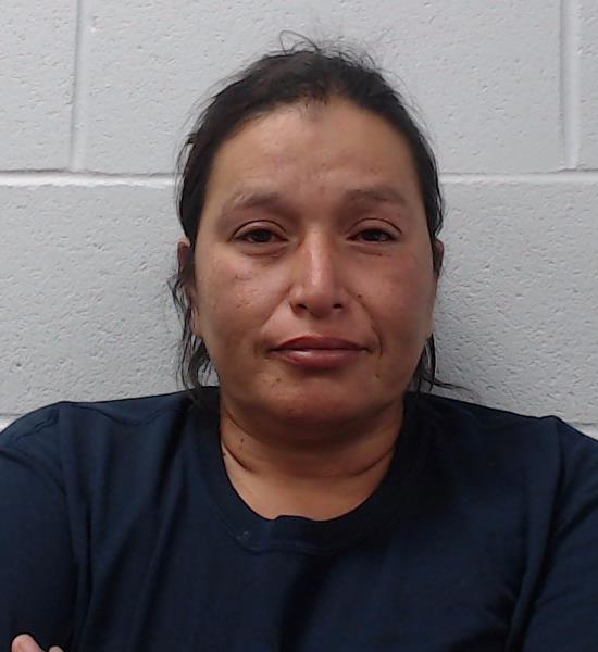 Gutierrez, Erika Lnette booking photo