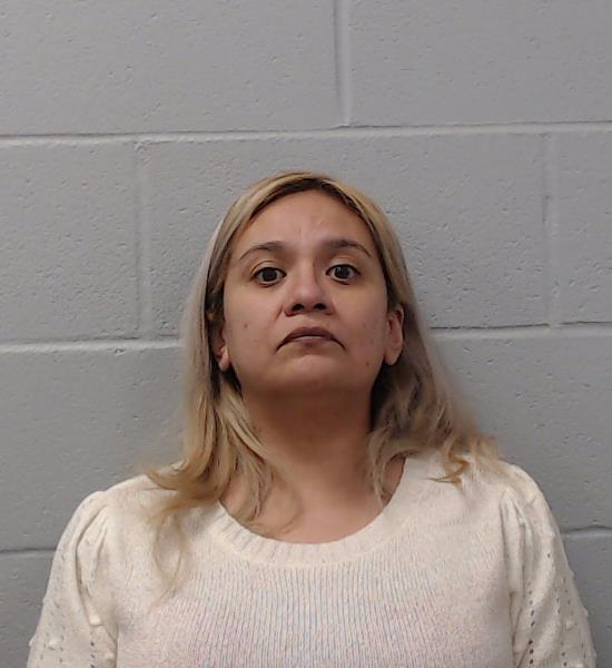 Patlan, Christina booking photo