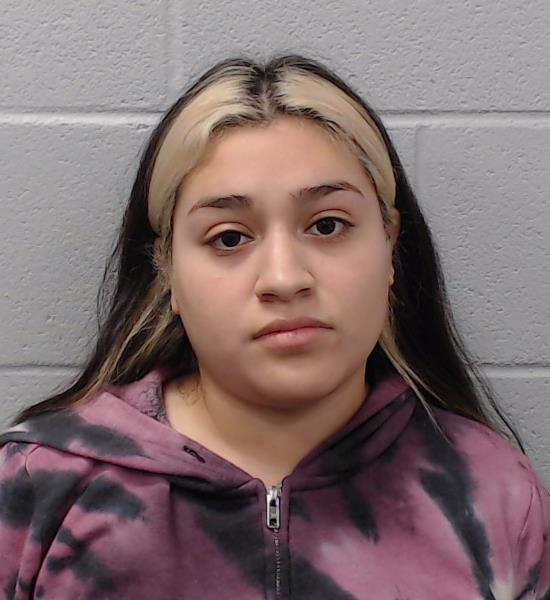 Gonzalez, Amberly booking photo