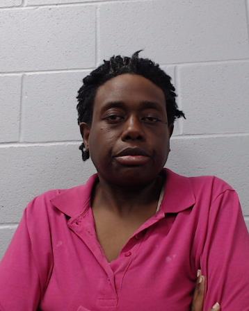 Turner, Natalia Patrice booking photo