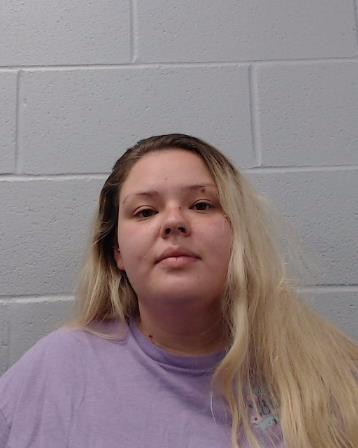 Fernandez, April Briana booking photo