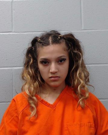 Hernandez, Alyson booking photo