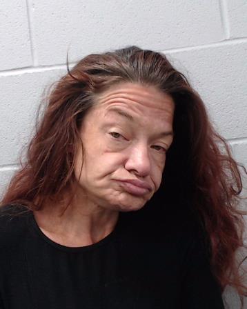 Schuelke, Sonya booking photo