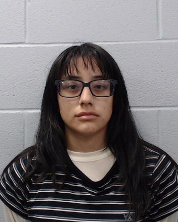 Castillo, Marisol Dolores booking photo